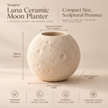 Tavqeno™ Luna Ceramic Moon Planter