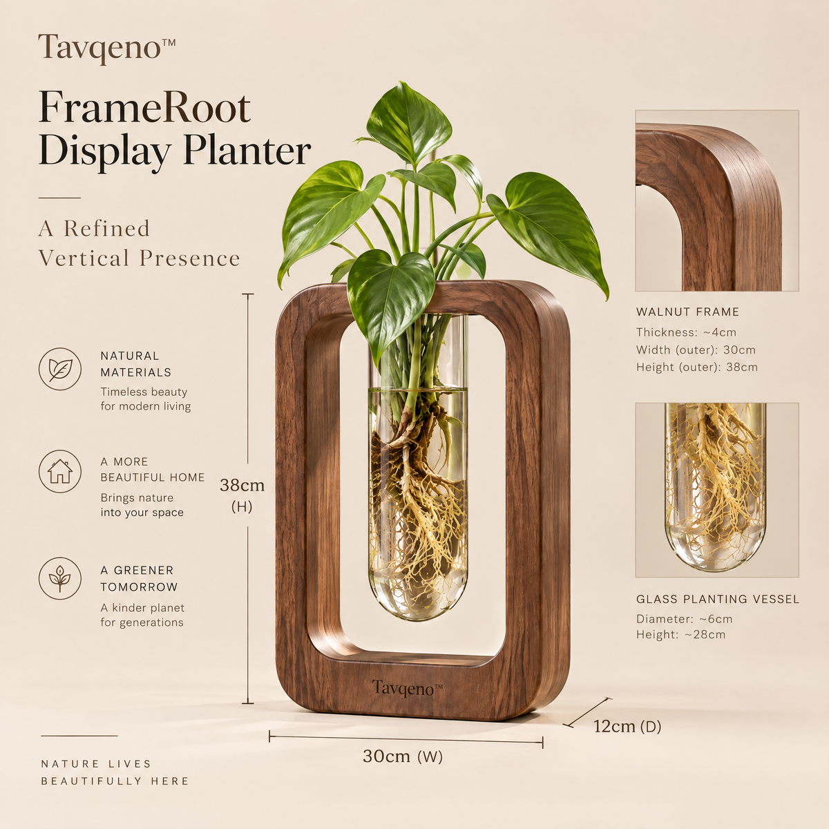 Tavqeno™ FrameRoot Display Planter