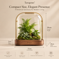 Tavqeno™ MistGlass Indoor Greenhouse