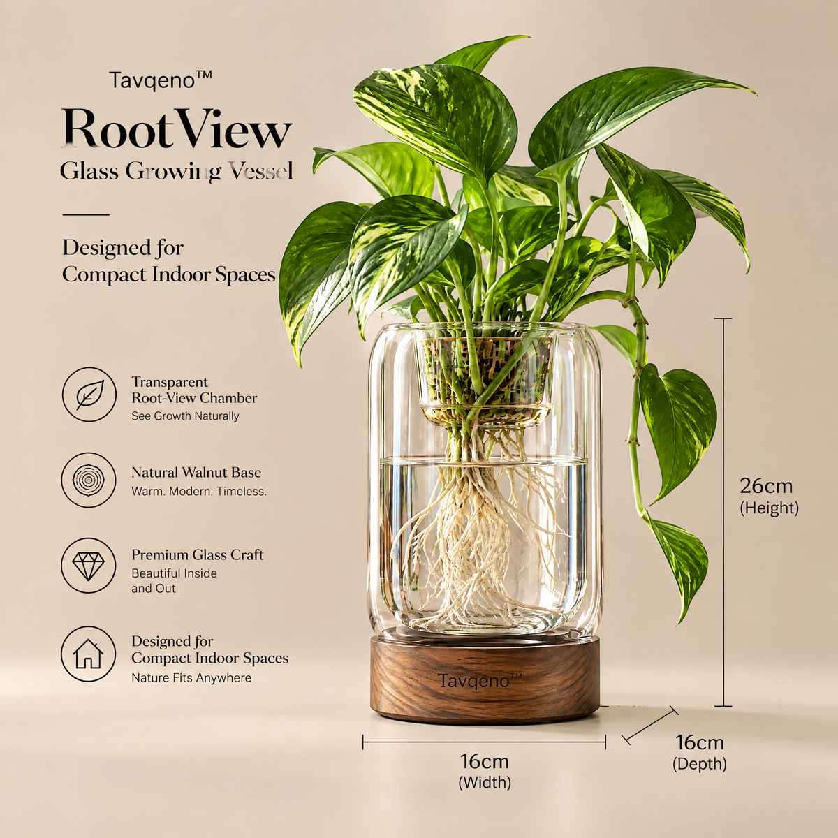 Tavqeno™ RootView Glass Growing Vessel