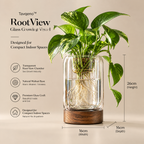 Tavqeno™ RootView Glass Growing Vessel