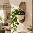 Tavqeno™ CurveLine Hanging Planter