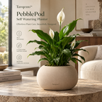 Tavqeno™ PebblePod Self Watering Planter