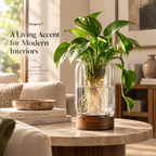 Tavqeno™ RootView Glass Growing Vessel