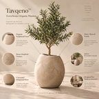 Tavqeno™ TerraStone Organic Planter