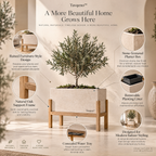 Tavqeno™ StoneFrame Raised Indoor Planter