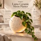 Tavqeno™ Luna Ceramic Moon Planter