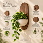 Tavqeno™ CurveLine Hanging Planter