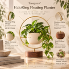 Tavqeno™ HaloRing Floating Planter
